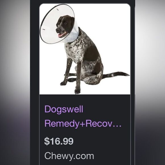 New! Dogswell Remedy+Recovery Dog E-Collar - Picture 9 of 9
